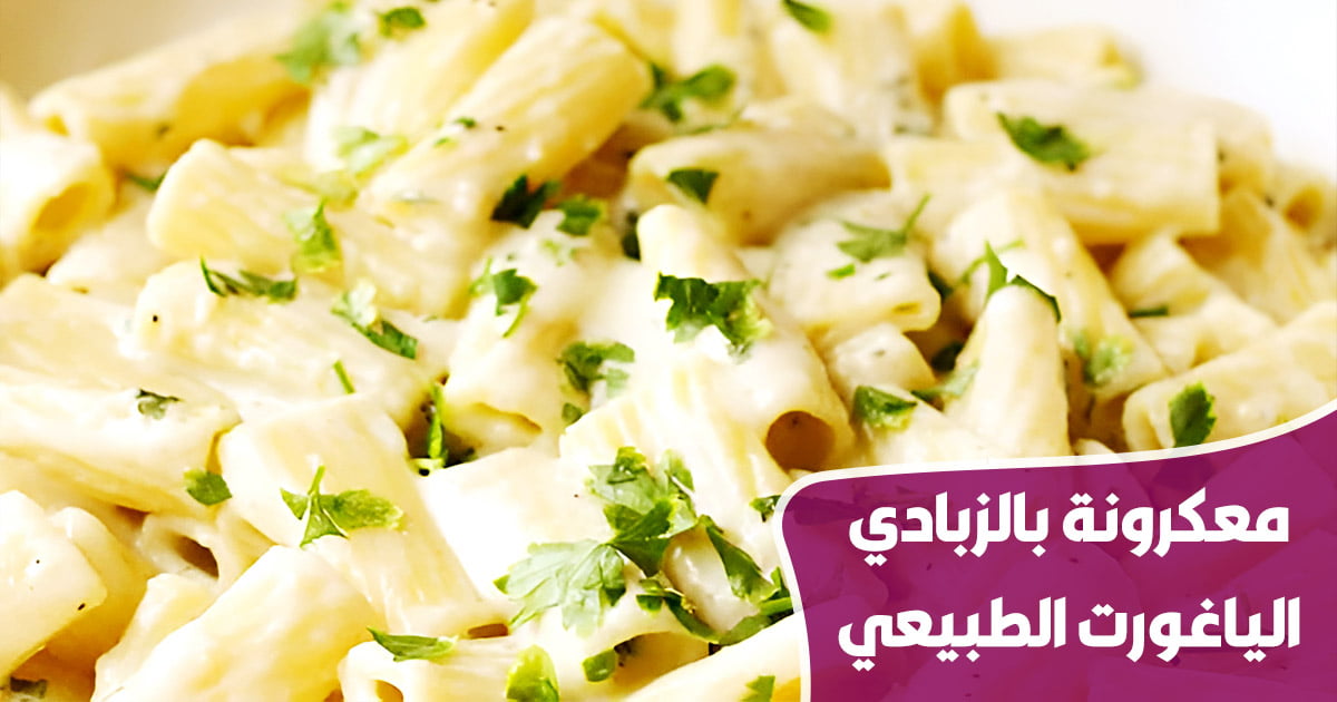 معكرونة بالزبادي الياغورت الطبيعي 1 macaroni